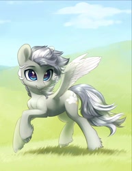 Size: 1652x2144 | Tagged: safe, artist:aphphphphp, oc, oc only, species:pegasus, species:pony, female, mare, solo, spread wings, unshorn fetlocks, wings