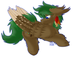 Size: 1024x768 | Tagged: safe, artist:vanillaswirl6, oc, oc only, oc:sorrel swoop, species:pegasus, species:pony, blue eyes, cheek fluff, chest fluff, colored pupils, colored wings, colored wingtips, commission, ear fluff, feather, fluffy, freckles, looking down, lying down, male, mouth hold, outline, preening, prone, signature, simple background, solo, stallion, transparent background, wing fluff