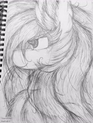 Size: 2951x3928 | Tagged: safe, artist:vanillaswirl6, character:rainbow dash, species:pegasus, species:pony, big ears, bust, cheek fluff, chest fluff, ear fluff, female, fluffy, grayscale, looking up, mare, messy mane, monochrome, portrait, signature, smiling, solo, traditional art