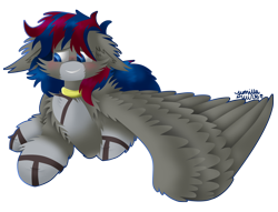 Size: 2000x1524 | Tagged: safe, artist:vanillaswirl6, oc, oc only, oc:raven skies, species:pegasus, species:pony, blushing, cheek fluff, chest fluff, collar, colored hooves, colored pupils, commission, fluffy, looking down, lying down, male, nervous, outline, prone, raised hoof, signature, simple background, solo, spread wings, stallion, transparent background, wing fluff, wings