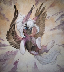 Size: 956x1080 | Tagged: safe, artist:aphphphphp, oc, oc only, species:pegasus, species:pony, flying, socks (coat marking), solo, traditional art, underhoof