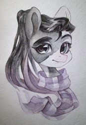 Size: 1384x1999 | Tagged: safe, artist:aphphphphp, oc, oc only, species:pony, bust, clothing, female, mare, pinto, portrait, scarf, solo, traditional art
