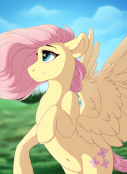 Size: 3300x4500 | Tagged: safe, artist:silentwulv, character:fluttershy, species:pegasus, species:pony, absurd resolution, belly button, female, high res, looking away, looking up, mare, rearing, solo, spread wings, wind, windswept mane, wings