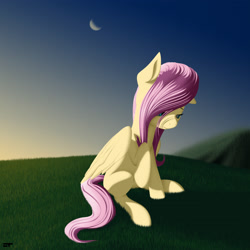 Size: 3300x3300 | Tagged: safe, artist:styroponyworks, character:fluttershy, species:pegasus, species:pony, anatomically incorrect, female, grass, grass field, incorrect leg anatomy, looking away, looking down, mare, moon, outdoors, raised hoof, sad, sitting, sky, solo, stray strand, three quarter view, wings
