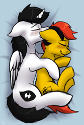 Size: 1461x2189 | Tagged: safe, artist:stargazer, oc, oc only, oc:angel, oc:southern belle, species:alicorn, species:earth pony, species:pony, alicorn oc, blushing, cuddling, shipping, spooning