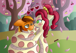 Size: 1090x765 | Tagged: safe, artist:snakeythingy, character:cherry jubilee, oc, oc:merc fox, species:lamia, blushing, canon x oc, cherry, cherry orchard, coils, food, lamiafied, looking at each other, original species, request, snake pony, species swap, story included