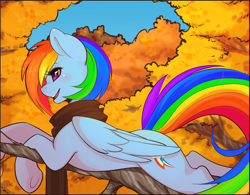 Size: 1280x996 | Tagged: safe, artist:spittfireart, edit, character:rainbow dash, species:pegasus, species:pony, autumn, clothing, color edit, colored, cute, edited edit, female, leaves, mare, open mouth, prone, scarf, smiling, solo, tree, underhoof