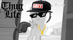 Size: 800x443 | Tagged: safe, artist:jawsandgumballfan24, character:rumble, species:pony, episode:marks and recreation, g4, my little pony: friendship is magic, baseball cap, black and white, blackletter, cap, clothing, colt, gold chains, grayscale, hat, male, monochrome, obey hat, sunglasses, thug life