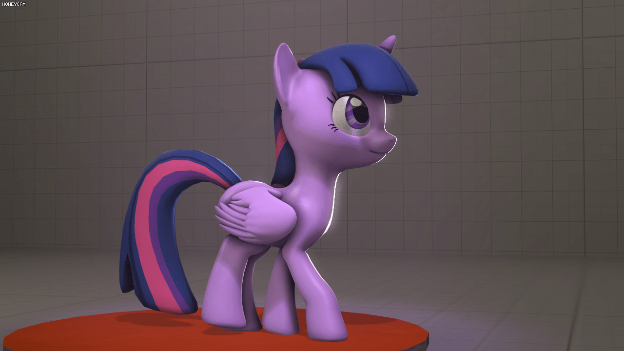 Size: 1280x720 | Tagged: safe, artist:fishimira, character:twilight sparkle, character:twilight sparkle (alicorn), species:alicorn, species:pony, 3d, animated, female, solo, source filmmaker, walk cycle, walking