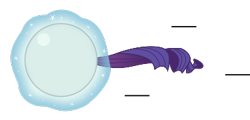 Size: 375x180 | Tagged: safe, artist:mega-poneo, character:rarity, species:pony, species:unicorn, ball, crossover, female, levitation, magic, mare, meme, motion lines, rariball, rolling, self-levitation, simple background, solo, sonic the hedgehog (series), spin dash, telekinesis, transparent background