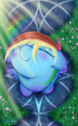 Size: 2600x4200 | Tagged: safe, artist:darksly, character:rainbow dash, species:pegasus, species:pony, cute, dashabetes, dawwww, female, floppy ears, flower, grass, looking up, mare, overhead view, rain, sitting, smiling, solo, wallpaper, wet mane