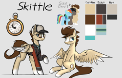 Size: 1280x826 | Tagged: safe, artist:fenixdust, oc, oc only, oc:skittle, species:pegasus, species:pony, male, reference sheet, solo
