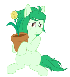 Size: 500x556 | Tagged: safe, artist:scraggleman, character:wallflower blush, species:earth pony, species:pony, equestria girls:forgotten friendship, g4, my little pony: equestria girls, my little pony:equestria girls, cute, equestria girls ponified, female, flower, flowerbetes, mare, ponified, potted plant, simple background, sitting, smiling, solo, tulip, wallflower and plants