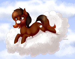 Size: 3000x2363 | Tagged: safe, artist:starshade, oc, oc only, oc:java, species:earth pony, species:pony, blushing, cloud, cute, cutie mark, earth pony on cloud, female, mare, on a cloud, prone, socks (coat marking), solo