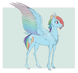 Size: 1280x1192 | Tagged: safe, artist:dementra369, character:rainbow dash, species:pegasus, species:pony, alternate universe, chest fluff, colored wings, female, mare, multicolored wings, rainbow wings, realistic anatomy, realistic horse legs, realistic wings, scar, solo, spread wings, wings