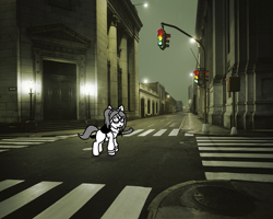 Size: 500x399 | Tagged: safe, artist:scraggleman, oc, oc:taku, species:earth pony, species:pony, clothing, female, glasses, irl, katana, mare, photo, ponies in real life, solo, story:lost and found, streetlight, sweater, sword, weapon
