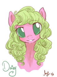 Size: 600x816 | Tagged: safe, artist:laceymod, character:daisy, species:earth pony, species:pony, g4, adaisable, beautiful, bust, colored pupils, curly hair, cute, eyebrows, eyebrows visible through hair, female, head only, looking at you, mare, portrait, signature, simple background, solo, text, white background
