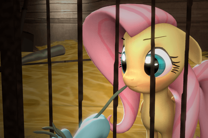 Size: 720x479 | Tagged: safe, artist:fishimira, character:fluttershy, character:rainbow dash, species:pegasus, species:pony, 3d, :3, animated, behaving like a rabbit, blushing, cage, cute, eating, eyes on the prize, feeding, female, floppy ears, herbivore, hoof hold, horses doing horse things, mare, nom, pony pet, shyabetes, smiling, solo focus, source filmmaker, underhoof