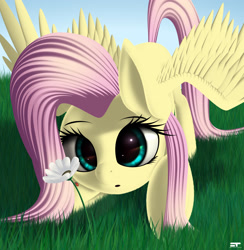 Size: 2370x2430 | Tagged: safe, artist:styroponyworks, character:fluttershy, species:pegasus, species:pony, cute, female, flower, grass, ladybug, looking at something, mare, shyabetes, solo, spread wings, wings