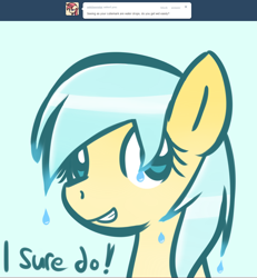 Size: 1280x1386 | Tagged: safe, artist:datahmedz, character:sunshower raindrops, species:pony, ask, female, raindropsanswers, solo, tumblr, wet mane