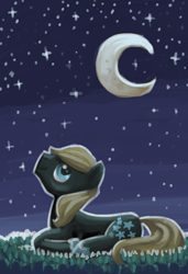 Size: 800x1171 | Tagged: safe, artist:needsmoarg4, character:twilight sky, species:earth pony, species:pony, crescent moon, grass, male, moon, solo, stallion, stars, transparent moon
