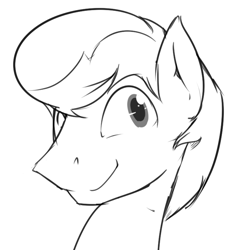Size: 732x732 | Tagged: safe, artist:sidekick, oc, oc only, species:pony, black and white, bust, commission, grayscale, male, monochrome, portrait, simple background, sketch, solo, stallion, white background