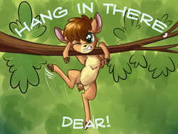 Size: 1200x900 | Tagged: safe, artist:sirzi, oc, oc only, species:deer, chest fluff, fawn, fordeer, hang in there, hanging, original species, pale belly, pun, solo, tree, tree branch
