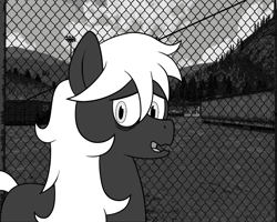 Size: 1280x1024 | Tagged: safe, artist:scraggleman, oc, oc only, oc:cipher, species:earth pony, species:pony, fence, male, monochrome, solo, stallion, story included, story:lost and found