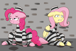 Size: 9000x6000 | Tagged: safe, artist:chedx, character:fluttershy, character:pinkie pie, species:pony, bored, bound wings, clothing, frustrated, hat, prison, prison outfit, prison stripes, prisoner, prisoner ft, prisoner pp, wing cuffs, wings
