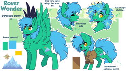 Size: 2910x1650 | Tagged: safe, artist:tenebristayga, oc, oc:rover wonder, species:pegasus, species:pony, reference sheet, solo