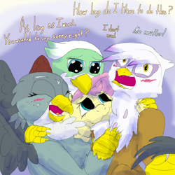 Size: 1584x1584 | Tagged: safe, artist:firefanatic, character:fluttershy, character:gabby, character:gilda, character:greta, species:griffon, species:pony, species:unicorn, :3, blushing, chest feathers, chest fluff, cute, dialogue, embarrassed, griffon trio, group hug, hug, smiling