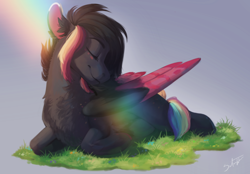 Size: 2300x1600 | Tagged: safe, artist:silentwulv, oc, oc:ayaka, species:pegasus, species:pony, alternate design, chest fluff, colored wings, ear fluff, eyes closed, female, mare, multicolored hair, multicolored wings, ponified, prone, rainbow tail, solo, species swap, wings