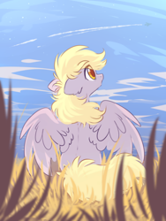 Size: 1500x2000 | Tagged: safe, artist:mirtash, character:derpy hooves, species:pegasus, species:pony, g4, colored pupils, contrail, cute, derpabetes, ear fluff, eye clipping through hair, featured on derpibooru, female, field, floppy ears, foreground, grass, looking up, mare, outdoors, plane, profile, rear view, sitting, sky, solo, spread wings, wings