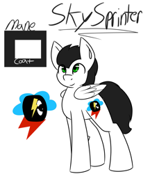 Size: 1769x2048 | Tagged: safe, artist:askhypnoswirl, oc, oc only, oc:skysprinter, colors, cutie mark, name, reference sheet, simple, simple background, solo, white background