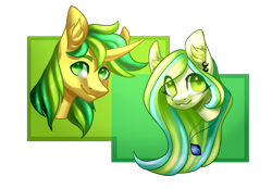 Size: 2000x1393 | Tagged: safe, artist:helemaranth, oc, oc only, species:earth pony, species:pony, species:unicorn, g4, commission, duo, ear fluff, ear piercing, earring, earth pony oc, horn, jewelry, necklace, piercing, simple background, smiling, transparent background, unicorn oc, ych result