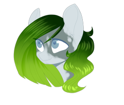 Size: 1741x1477 | Tagged: safe, artist:helemaranth, oc, oc only, species:earth pony, species:pony, g4, bust, earth pony oc, simple background, solo, transparent background