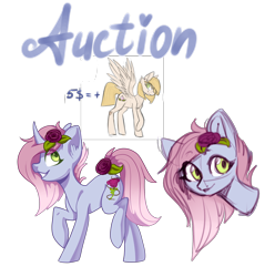 Size: 1986x2000 | Tagged: safe, artist:helemaranth, oc, oc only, species:earth pony, species:pegasus, species:pony, species:unicorn, g4, bust, earth pony oc, flower, flower in hair, horn, pegasus oc, raised hoof, simple background, smiling, transparent background, unicorn oc, wings