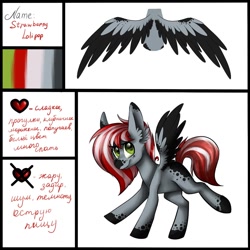 Size: 1024x1024 | Tagged: safe, artist:helemaranth, oc, oc only, species:pegasus, species:pony, g4, cyrillic, pegasus oc, reference sheet, russian, spread wings, wings