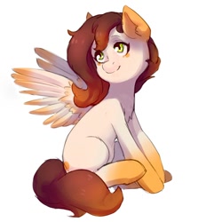 Size: 900x970 | Tagged: safe, artist:helemaranth, oc, oc only, species:pegasus, species:pony, g4, pegasus oc, simple background, sitting, solo, white background, wings