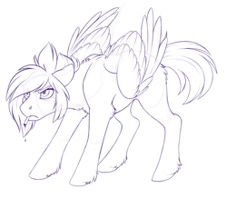 Size: 3595x3131 | Tagged: safe, artist:silkensaddle, species:pegasus, species:pony, g4, simple background, sketch, solo, white background