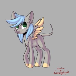 Size: 1024x1024 | Tagged: safe, artist:helemaranth, base used, oc, oc only, species:pegasus, species:pony, g4, colored hooves, ear fluff, gray background, leonine tail, pegasus oc, signature, simple background, solo, two toned wings, wings