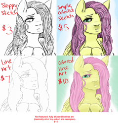 Size: 1058x1106 | Tagged: safe, artist:colorlesscupcake, character:fluttershy, commission, commission info, female, solo