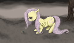 Size: 1276x750 | Tagged: safe, artist:colorlesscupcake, character:fluttershy, species:pegasus, species:pony, g4, crying, female, flower, hilarious in hindsight, mare, no life, sad, solo