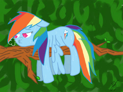 Size: 2048x1536 | Tagged: safe, artist:victoreach, character:rainbow dash, female, solo