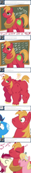 Size: 500x2696 | Tagged: safe, artist:tex, character:big mcintosh, character:lily, character:lily valley, character:roseluck, character:soarin', species:earth pony, species:pony, ask, ask big macintosh, big macintosh gets all the mares, buff, glasses, lilymac, male, muscles, rosemac, shipping, stallion, straight, tumblr