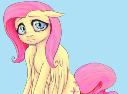 Size: 870x641 | Tagged: safe, artist:colorlesscupcake, character:fluttershy, species:pegasus, species:pony, blue background, female, floppy ears, mare, simple background, sitting, smiling, solo
