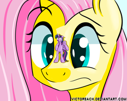 Size: 5000x4000 | Tagged: safe, artist:victoreach, character:fluttershy, character:twilight sparkle, character:twilight sparkle (alicorn), species:alicorn, species:pony, ship:twishy, female, giantess, lesbian, macro, mare, scared, shipping, zoom