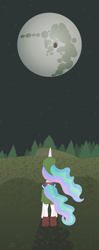 Size: 1611x4087 | Tagged: safe, artist:liracrown, character:nightmare moon, character:princess celestia, character:princess luna, crossover, link, mare in the moon, moon, night, shield, stars, the legend of zelda, the legend of zelda: majora's mask, when you see it