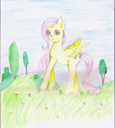 Size: 849x940 | Tagged: safe, artist:wrath-marionphauna, character:fluttershy, species:pegasus, species:pony, beautiful, colored pencil drawing, everfree forest, female, flower, forest background, ponyville, solo, traditional art, tree