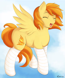 Size: 2495x3000 | Tagged: safe, artist:conrie, character:spitfire, clothing, cutefire, female, socks, solo